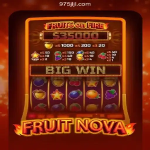 Exploring FruitNova: The Premium Online Gaming Experience